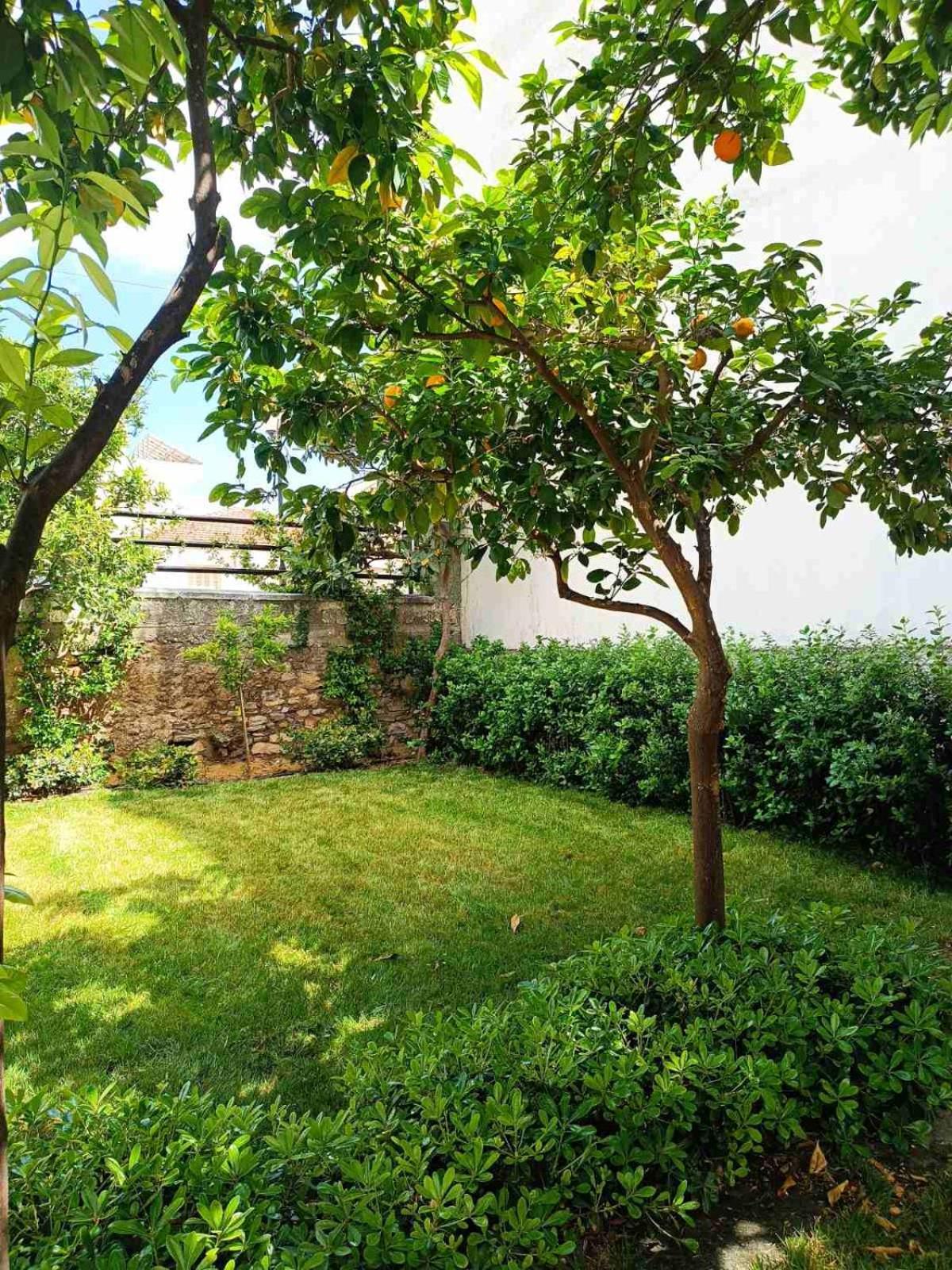 Betty'S Garden House Villa Néa Ankhíalos Exterior foto